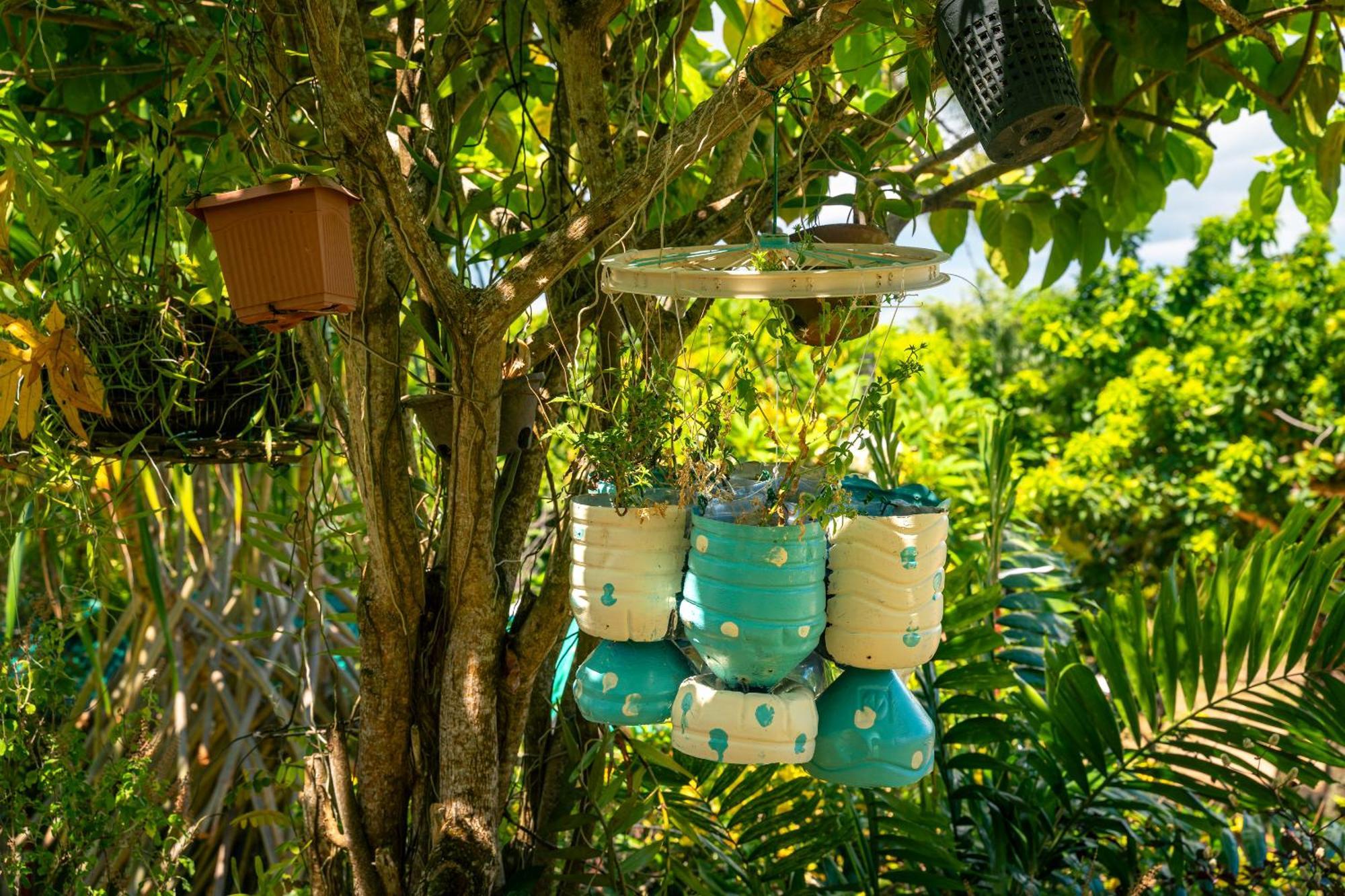 Lemongrass Lodge Beau Vallon  Dış mekan fotoğraf