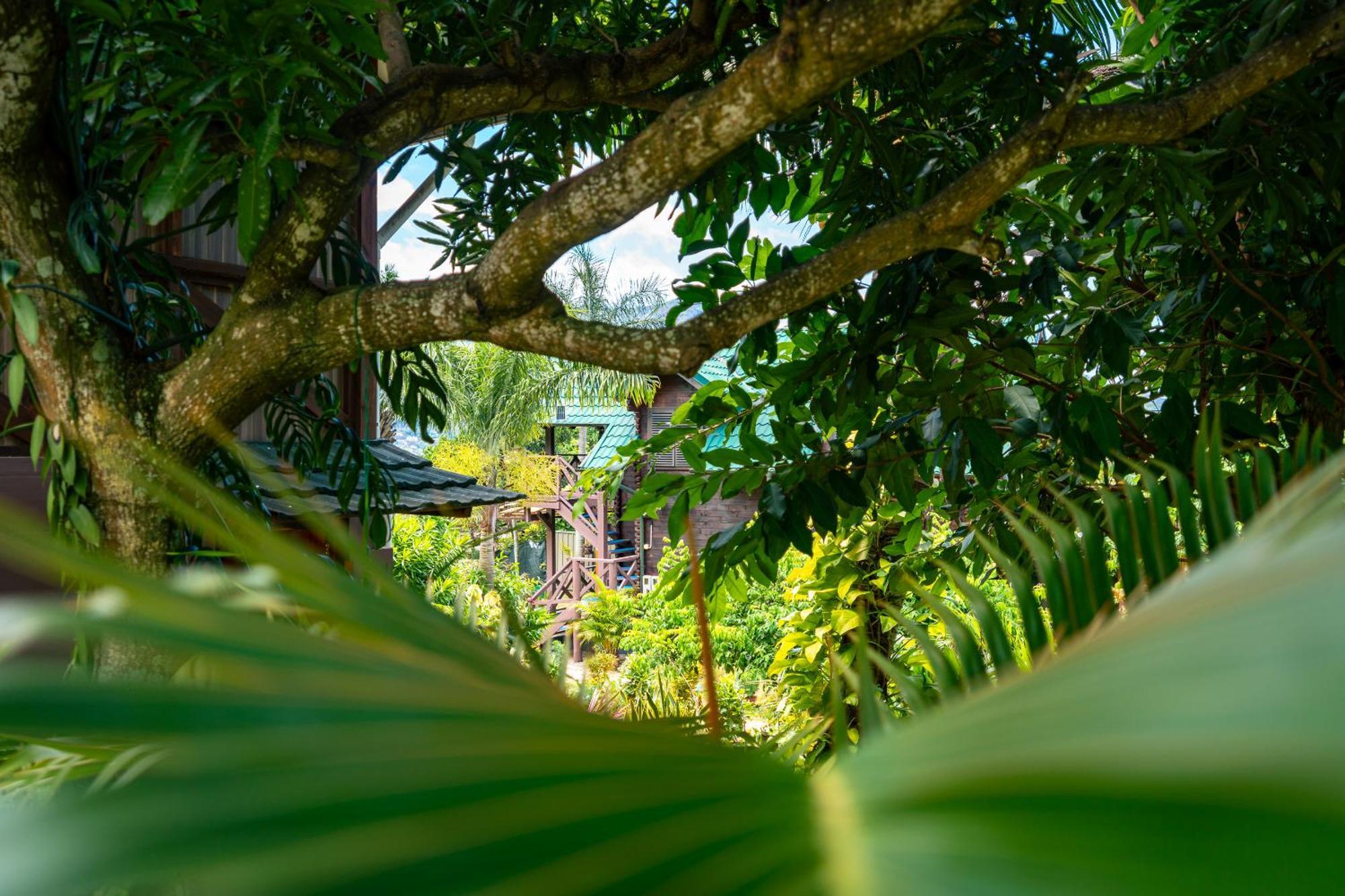 Lemongrass Lodge Beau Vallon  Dış mekan fotoğraf