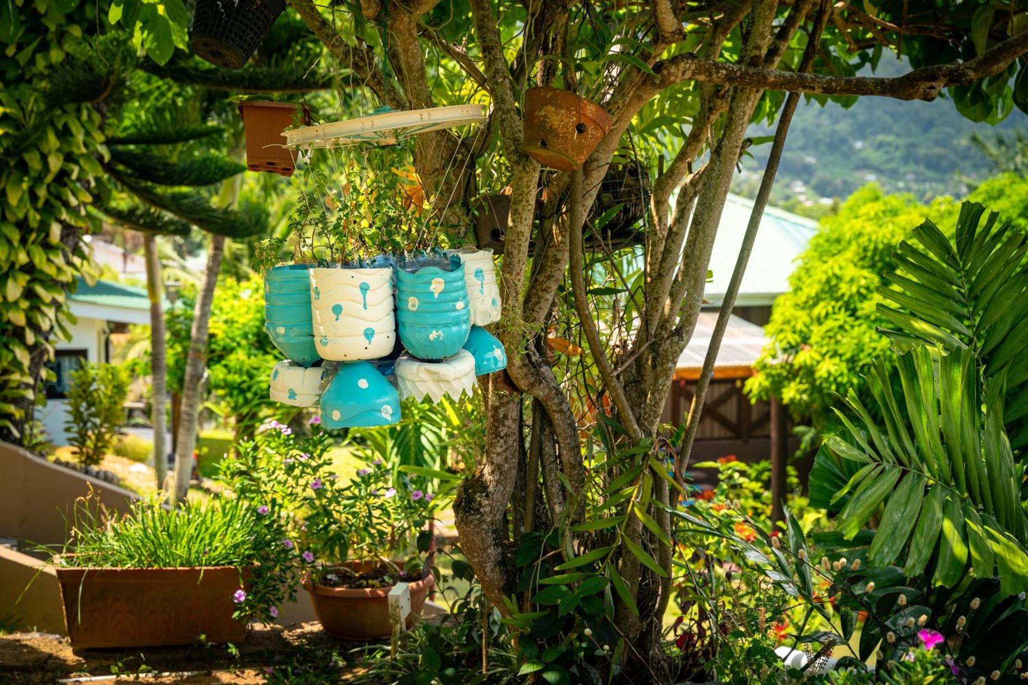 Lemongrass Lodge Beau Vallon  Dış mekan fotoğraf