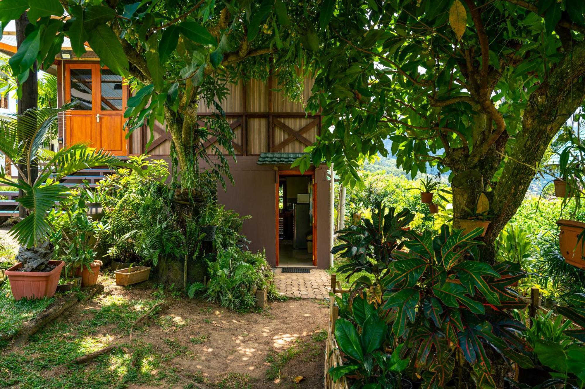 Lemongrass Lodge Beau Vallon  Dış mekan fotoğraf